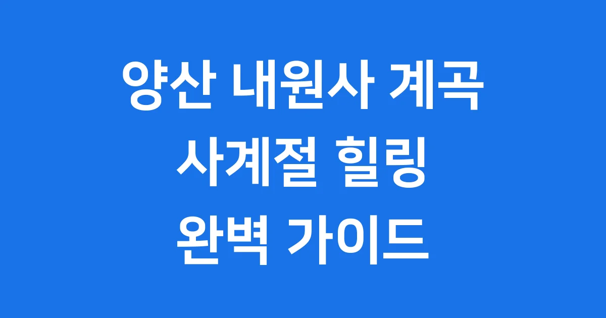 양산 내원사 계곡: 사계절 매력이 넘치는 힐링 명소