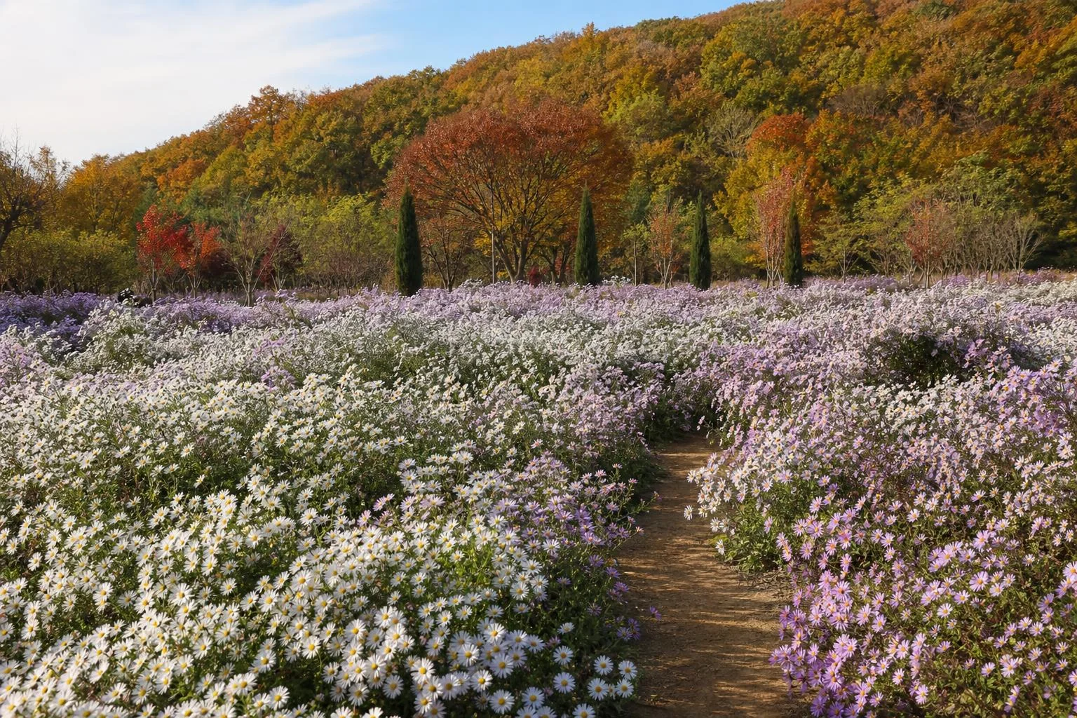 다채로운 자연의 보고