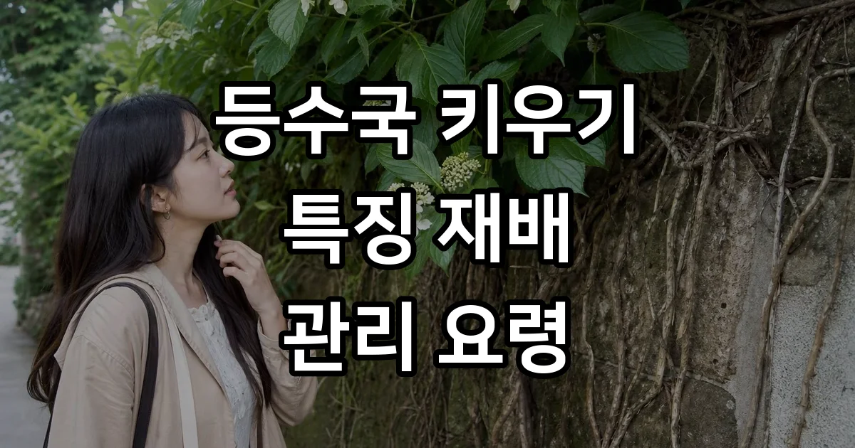 등수국 키우는법 특징과 관리 요령 등수국 키우는법 특징과 관리 요령